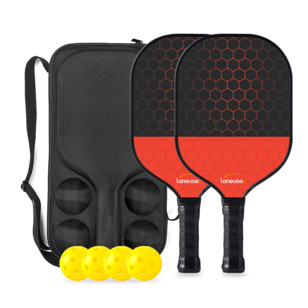 Pickleball set-2